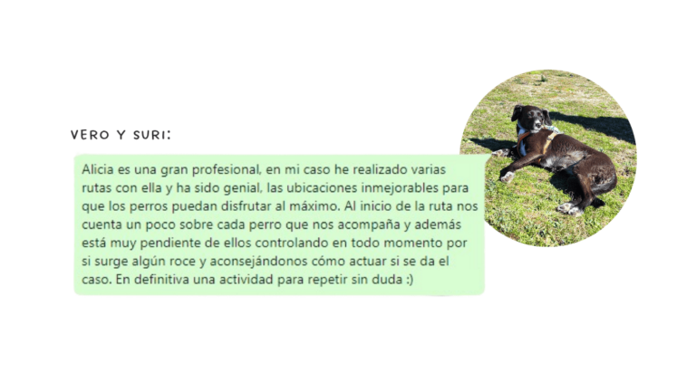 grupos desarrollo perros madrid