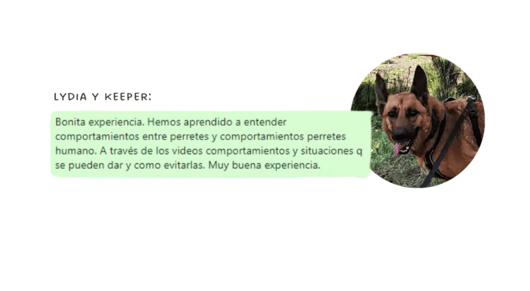 grupos desarrollo perros madrid