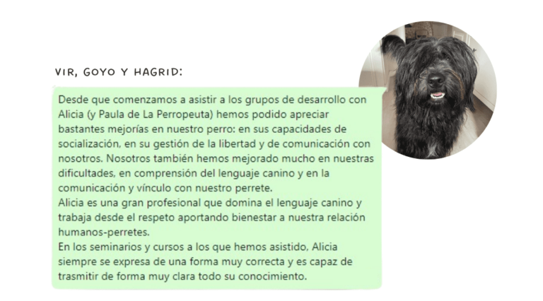 grupos desarrollo perros madrid