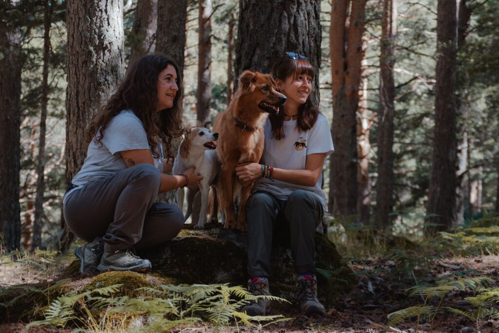 grupos caninos madrid