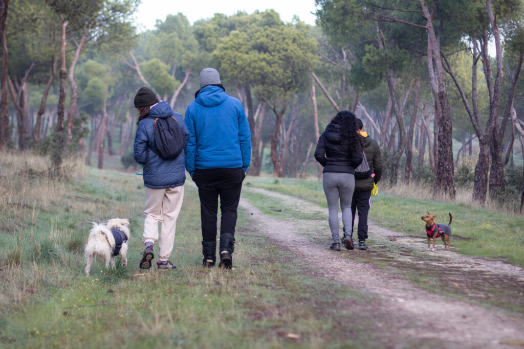 grupos socialización canina madrid